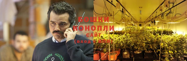 гидропоника Арсеньев
