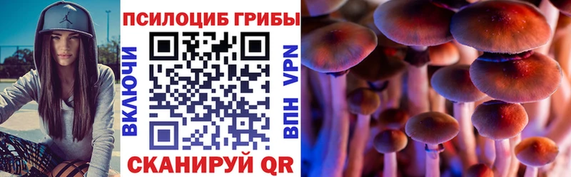 hydra зеркало  как найти закладки  Светлогорск  Галлюциногенные грибы Magic Shrooms 